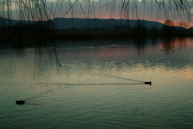 Riserva Regionale Lago di Posta Fibreno